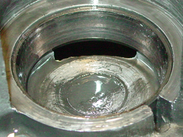 pinion bearing & case